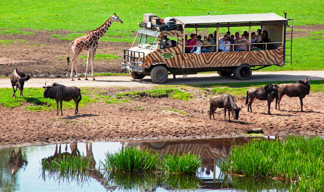 Serengeti Park 2024   2476386 1200x630 Nocrop 